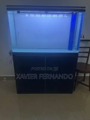 Fish Tank