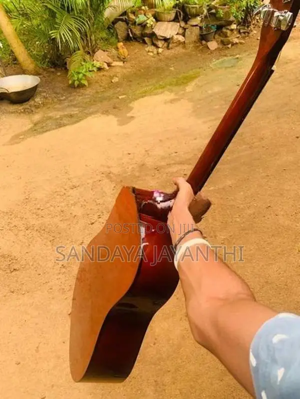 Carolina Guitar