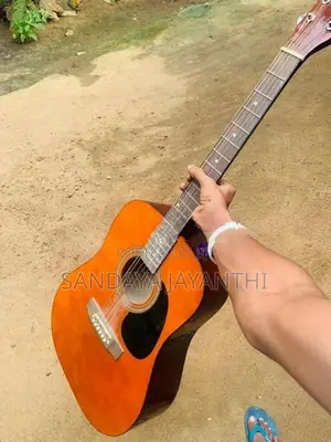 Carolina Guitar