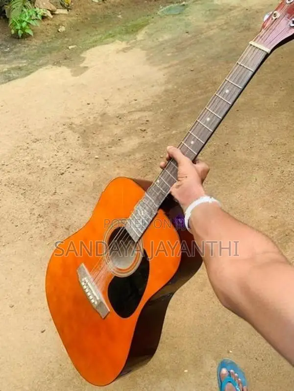 Carolina Guitar