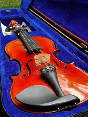 Violin