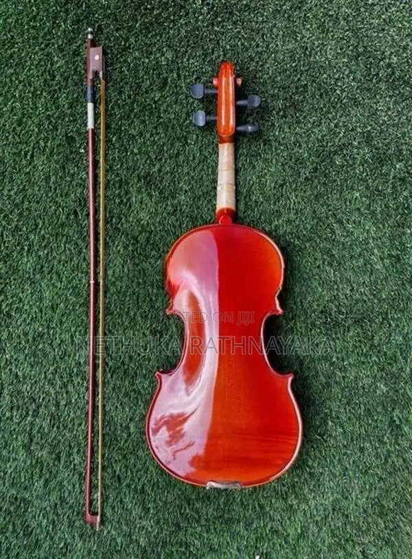 Violin