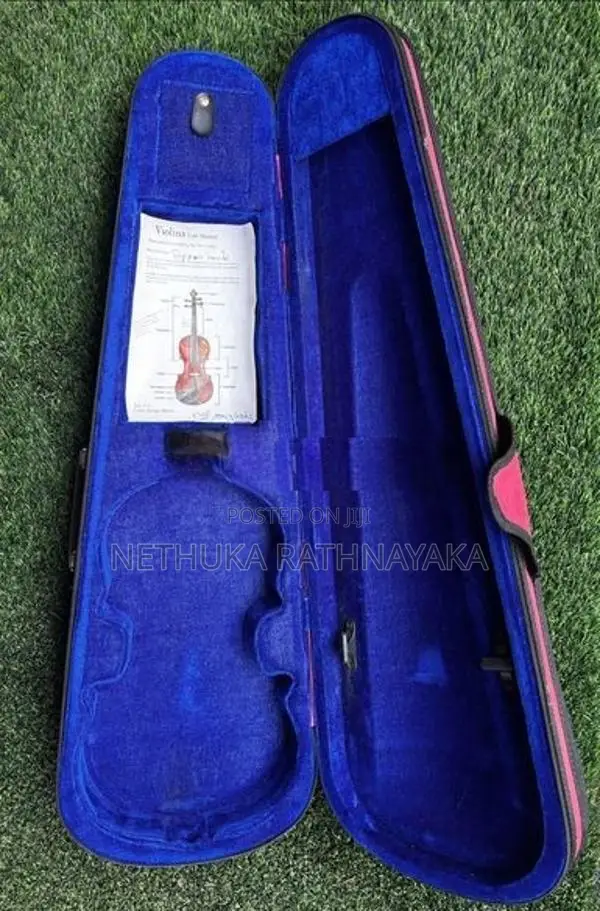 Violin