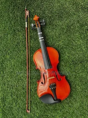 Violin