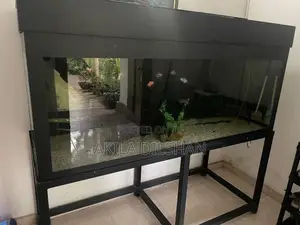 Fish Tank