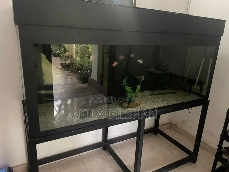 Fish Tank