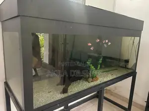 Fish Tank
