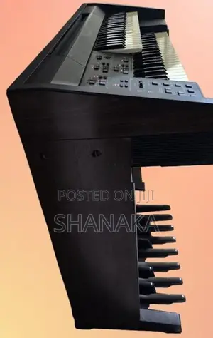 Keyboard Piano - Technics SX-EX5L