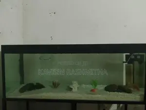 4ft Fish Tank