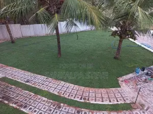 Malaysian Grass