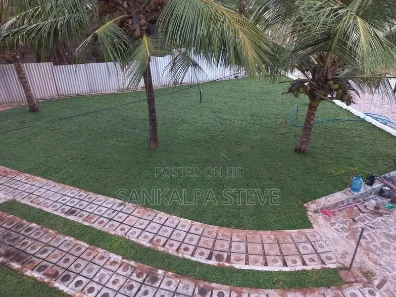 Malaysian Grass
