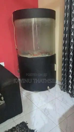 Fish Tank Semi Circle