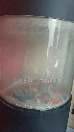 Fish Tank Semi Circle