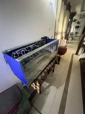4 Feet Tank