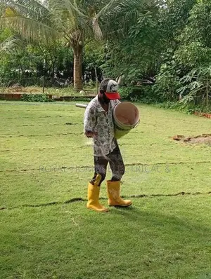තණකොළ රෝල්