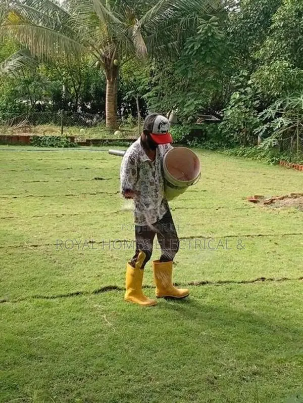 තණකොළ රෝල්