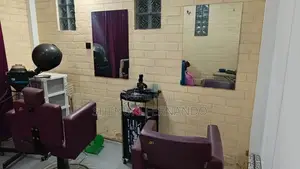 Salon Furniture Set