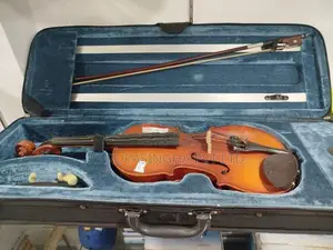 Violin