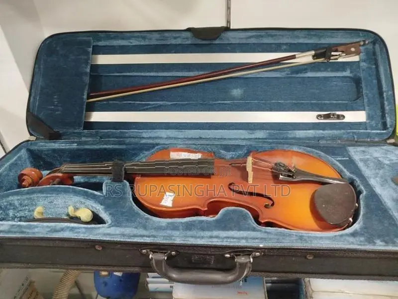 Violin