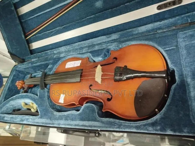 Violin