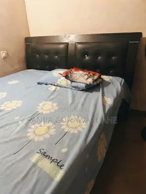 Damro Bed With Mattress