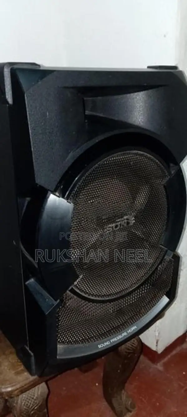 Amplifier with Speaker