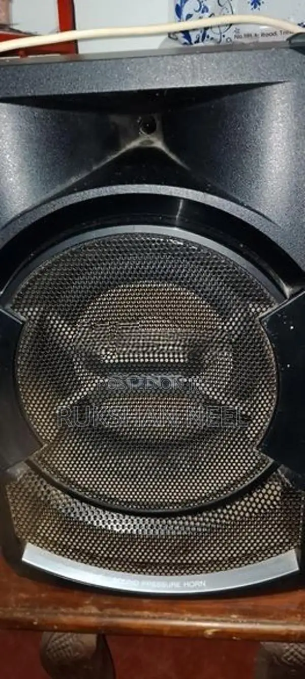Amplifier with Speaker