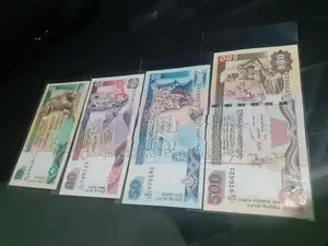 Old Notes