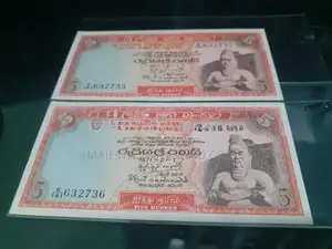 Old Notes