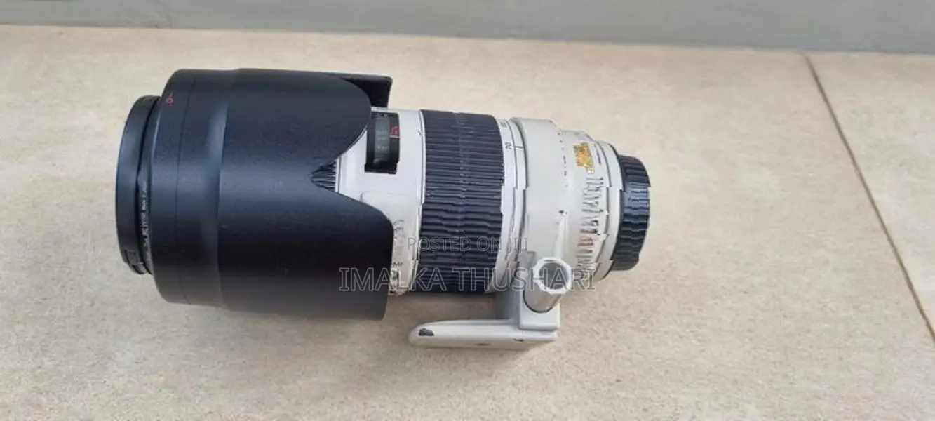 70-200 Tele Lens Canon