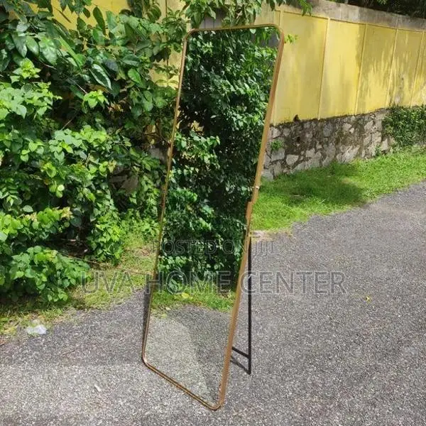Wall Hanging Stand Gold Mirror 61x19.5ft
