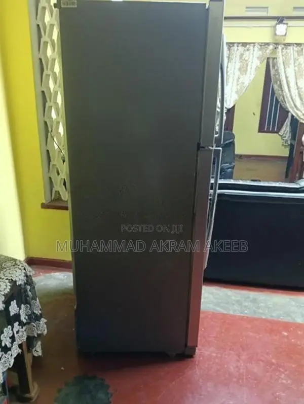 LG 491L Refrigerator