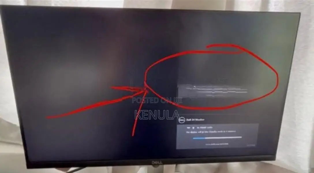 Dell Monitor 24 Inch
