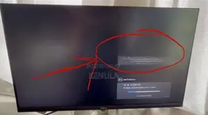 Dell Monitor 24 Inch