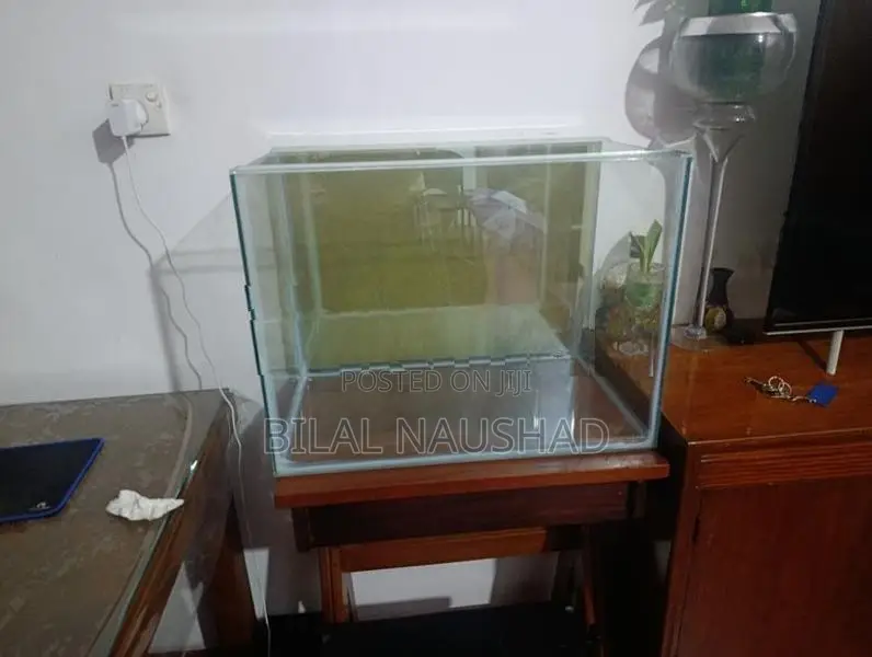 Fish Tank