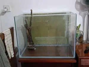Fish Tank