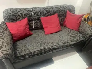 Singer Sofa Set