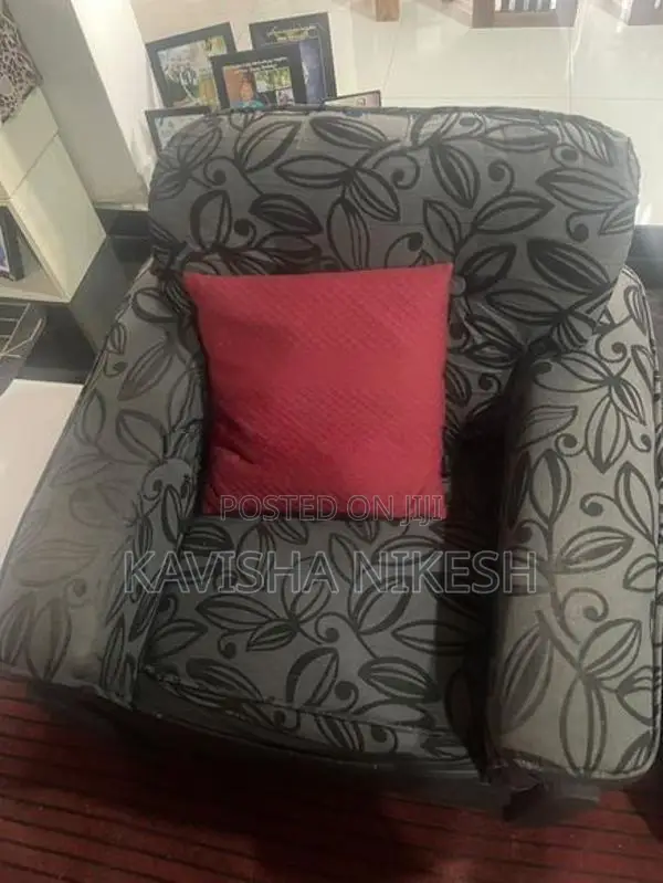 Singer Sofa Set