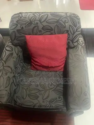 Singer Sofa Set