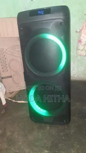 X10 10"woofer