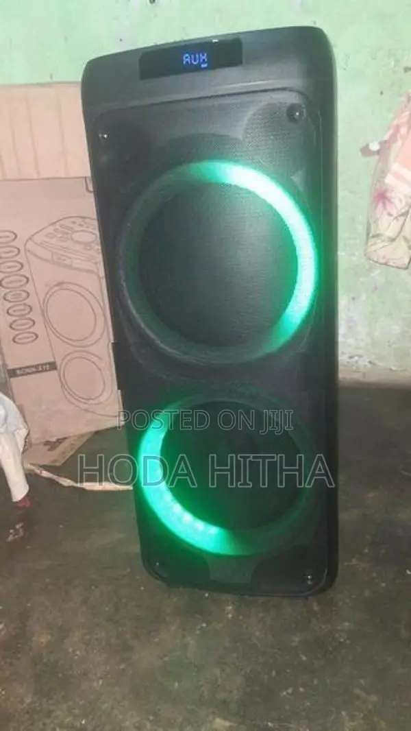 X10 10"woofer