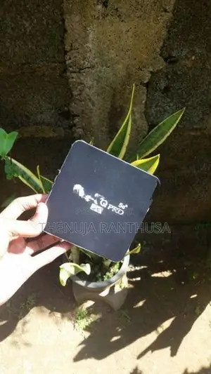 MXQ Pro 5G Android Tv Box