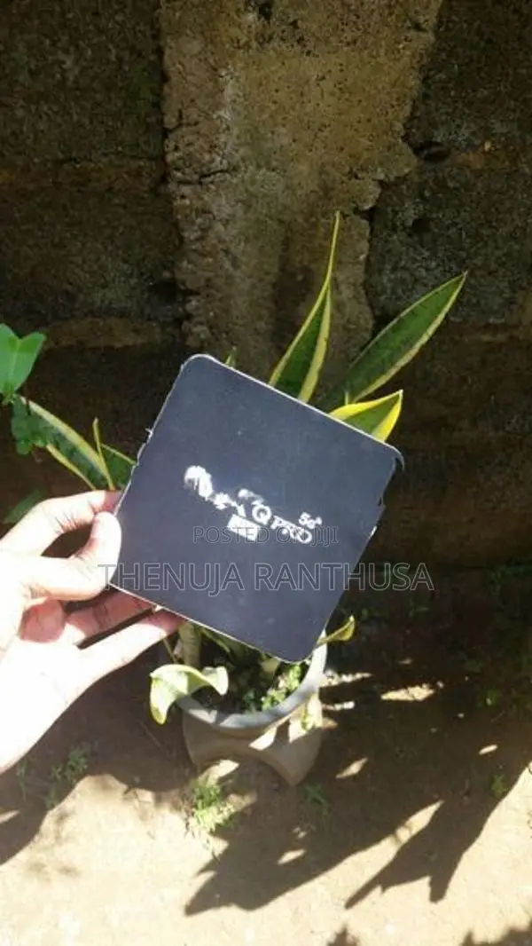 MXQ Pro 5G Android Tv Box