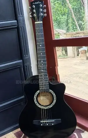 Acoustic Guitar