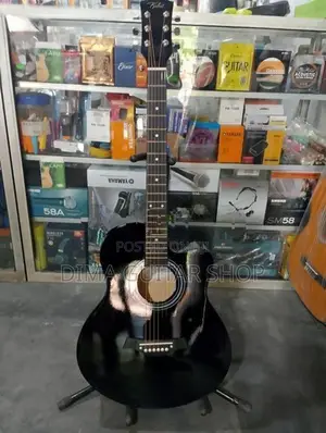 Acoustic Guitars