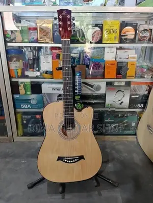 Acoustic Guitars