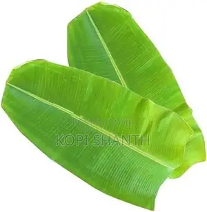 Banana Leave