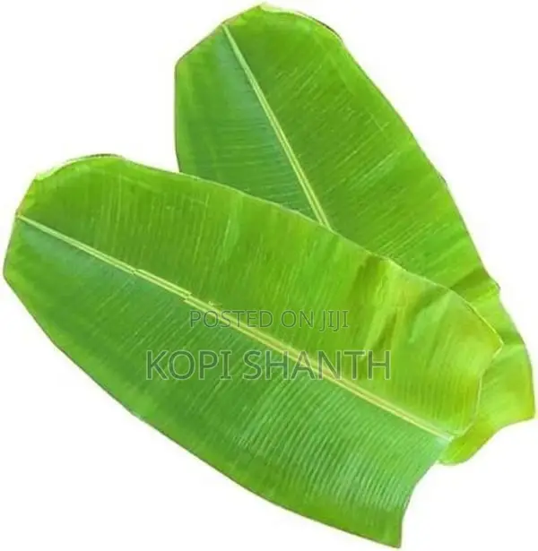 Banana Leave