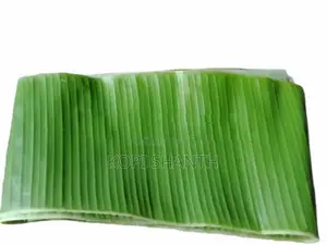 Banana Leave