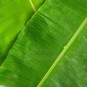 Banana Leave